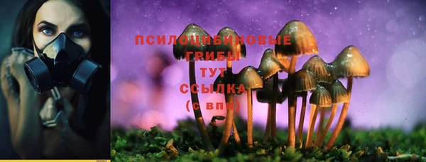 индика Абдулино