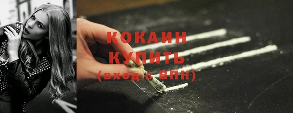 бошки Осинники