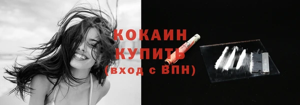 кокс Алексин