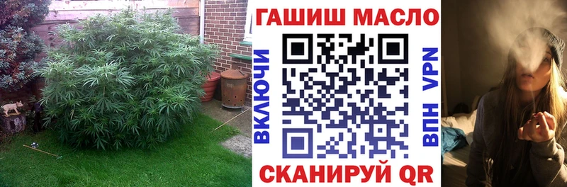 omg онион  Торопец  Дистиллят ТГК гашишное масло 