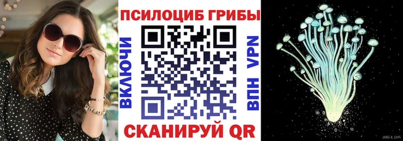 наркотики  ОМГ ОМГ маркетплейс  Галлюциногенные грибы Cubensis  Торопец 