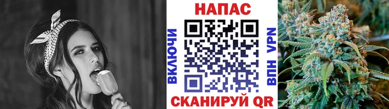 Канабис планчик  как найти закладки  Торопец 
